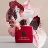 Amouage Crimson Rocks EDP 100 ml