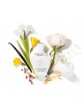 Creed Love in White EDP 75 ml