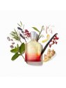 Creed Original Santal EDP 100 ml