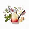 Creed Original Santal EDP 100 ml