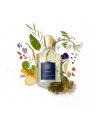 Creed Erolfa EDP 100 ml