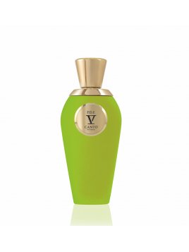 V CANTO PDF EXTRAIT DE PARFUM 100ML
