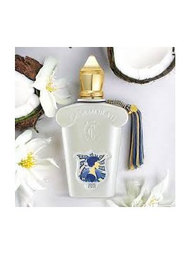 XJ CASAMORATI 1888 QUATTRO...