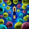 XERJOFF TORINO 24 EDP 50ML