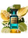 TOM FORD NEROLI PORTOFINO EDP 50ML