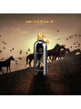 MONTALE ARABIANS TONKA...