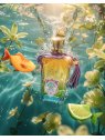 CASAMORATI XJ TEMPIO D ACQUA EDP 30ML