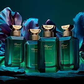 The Garden's of Paradise