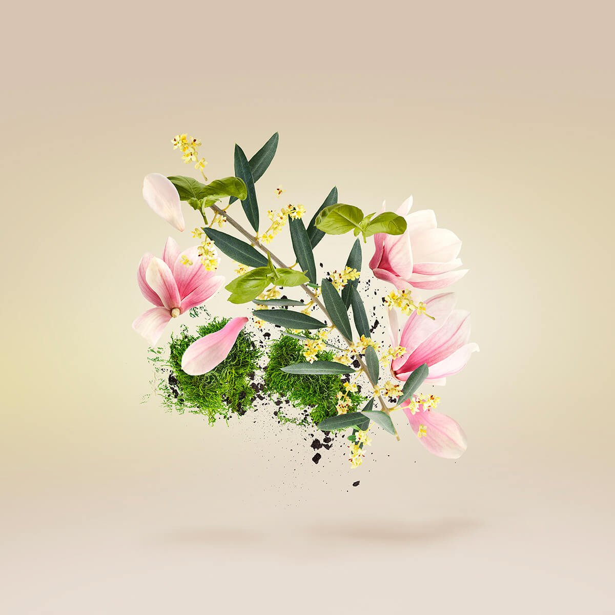 CASAMORATI XJ CASAMORATI 1888 FIORE D ULIVO - EDP 30 ML