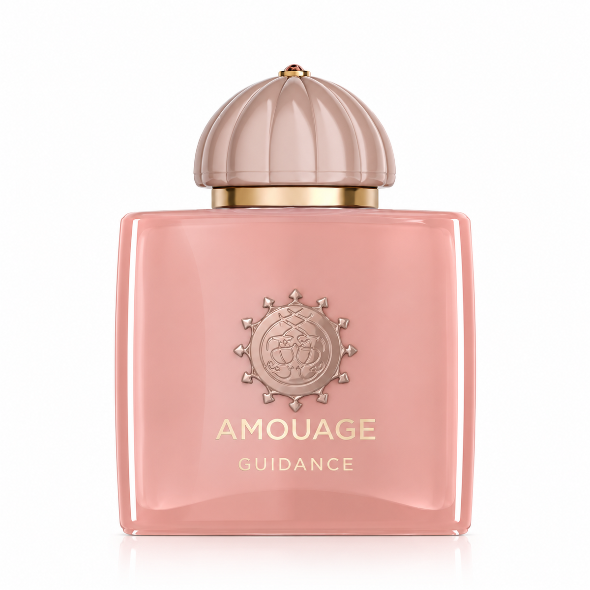 AMOUAGE GUIDANCE EDP 100ML